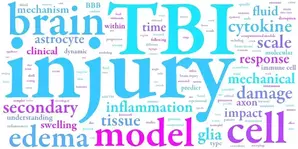 Secondary damage in TBI