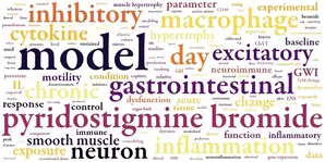 Colon hypertrophy in Gulf War Illness