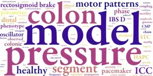 Colonic motor pattern generation