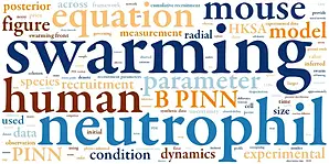 Neutrophil swarming dynamics