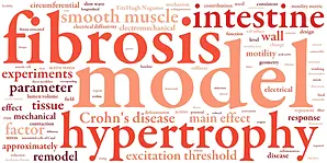 Crohn’s disease colon motility